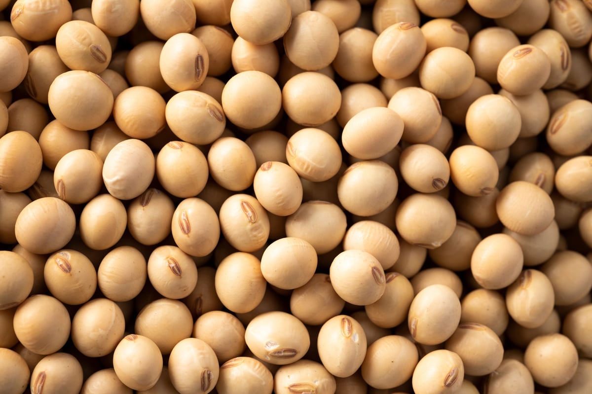 Soya Beans