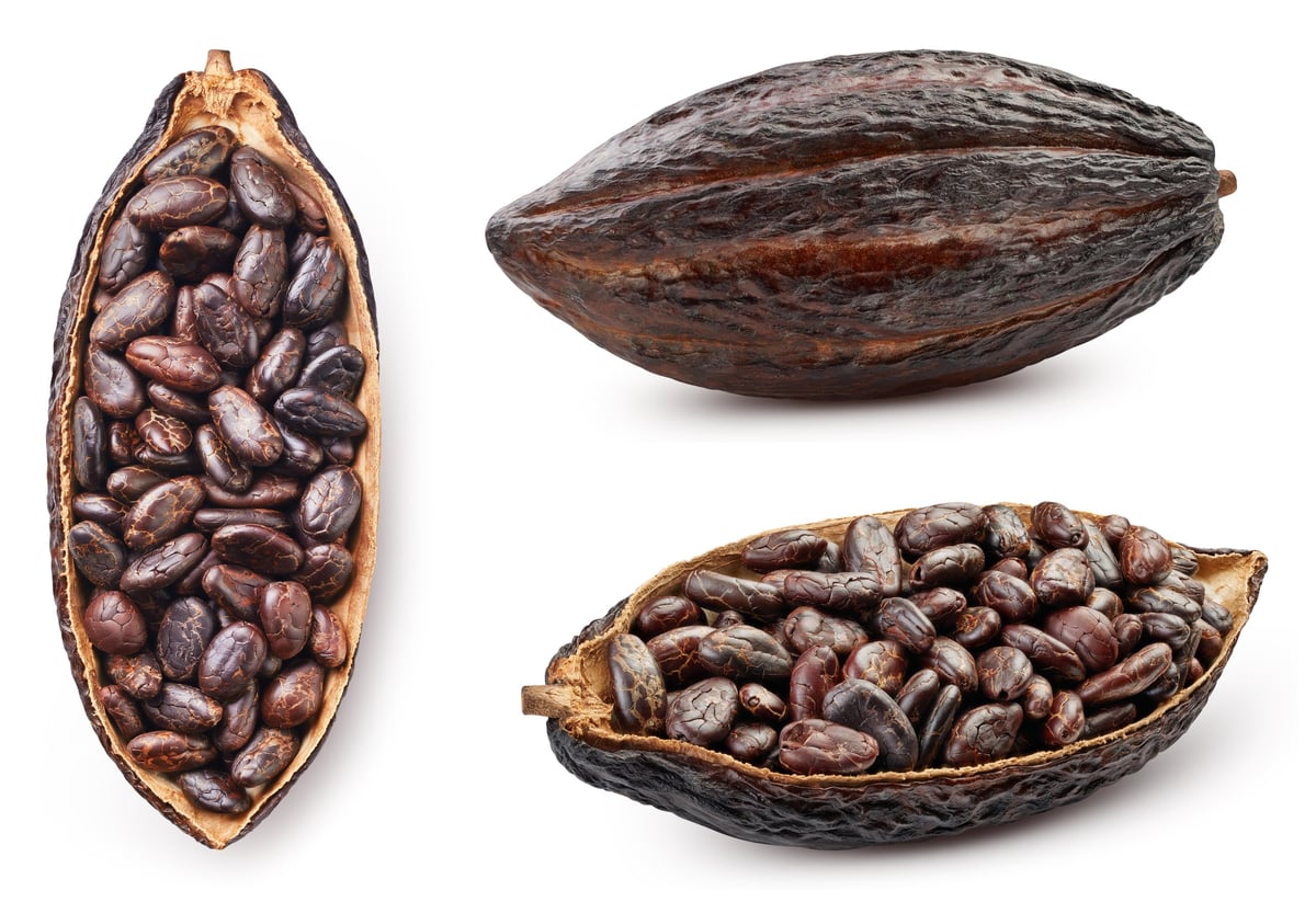 Cocoa Beans