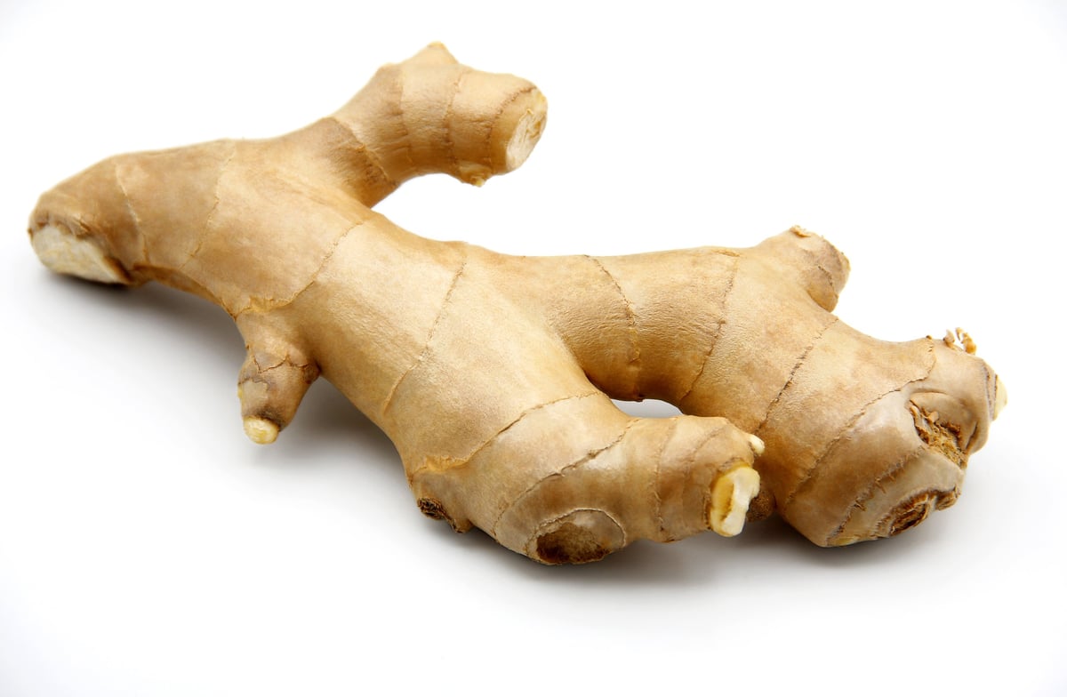 Ginger